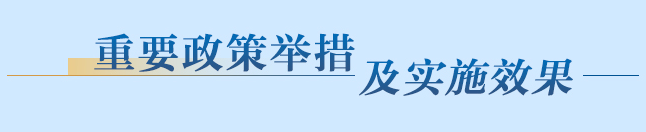 重要政策舉措及實施效果